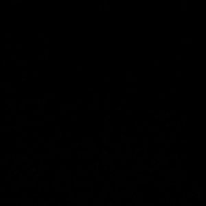 Meet your Posher, Areli